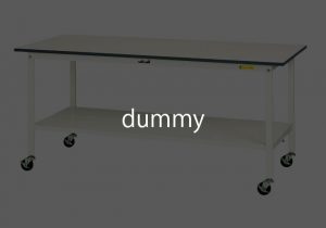 dummy